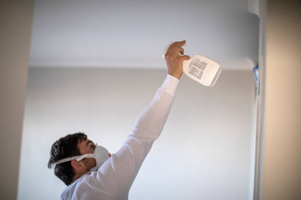 Best Water Damage Restoration  in Gordonsville, VA