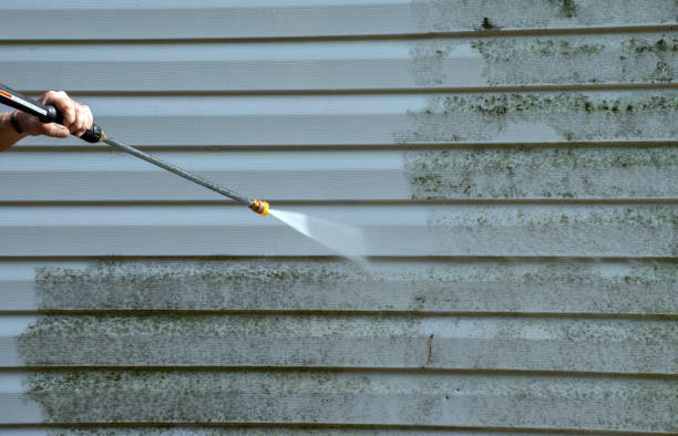 Best Residential Mold Removal  in Gordonsville, VA