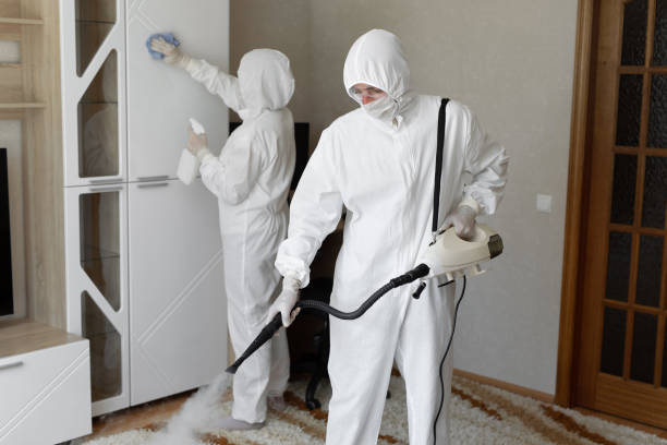 Best Professional Mold Removal  in Gordonsville, VA