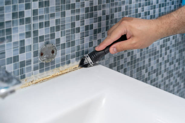Professional Mold Removal in Gordonsville, VA