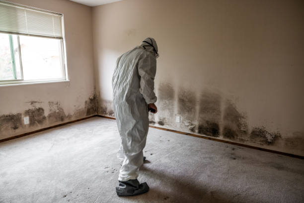 Best Crawl Space Mold Removal  in Gordonsville, VA