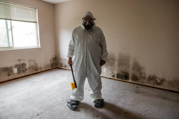 Best Mold Removal Company Near Me  in Gordonsville, VA
